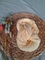 HILO ALGODON 8/6-LHO