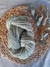 NEVILAN SHETLAND SEMIGORDO-LHO - Puntogranny25