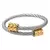 Imagem do Núcleo Masculino – Pulseira de Titânio para Homens com Atitude