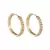 Eclipse Dourado – Brincos Coreanos com Detalhe de Zircônia - Emmas Style