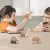 Bebê dinossauro de madeira montessori na internet