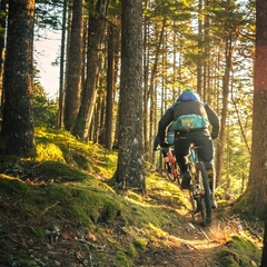 Banner de la categoría Mtb