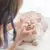 Imagem do Discos de Algodão Higienizadores para Pets – Olhos, Orelhas e Patas