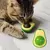 Abacatifelino – Brinquedo com Catnip e Movimento para Gatos - comprar online
