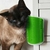 Coçadinha Para Gatos Escova Tira Pelos Massageadora Canto De Parede Cor: Verde