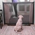 Porta Tela Protetora Grade Bebes Cães Gatos Pet 182 x 76 cm - Chique Pet