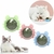 Bolinha de Catnip Natural - loja online