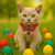 Petit Charme – Coleira Elegante com Laço para Gatos e Cães Mini