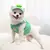 Mundo Miudinho – Kit de Arnês Fofinho para Pets Pequenos - comprar online