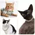 Coleira Royal Shine – Corrente de Luxo para Cães e Gatos com Atitude - Chique Pet