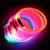 Coleira de Cachorro USB com LED - loja online