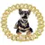 Coleira Royal Shine – Corrente de Luxo para Cães e Gatos com Atitude na internet