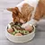 Caça ao Franguinho – Brinquedo Inteligente e Tapete Olfativo para Cães - comprar online