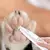 Aparador de pelos gato e cachorro na internet