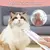 Imagem do Aparador de pelos gato e cachorro