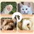 Aparador de pelos gato e cachorro - comprar online
