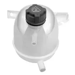 RESERVATORIO EXP.CLIO/KANGOO/LOGAN /SANDERO /DUSTER COM TAMPA - KG-1504 - comprar online