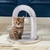 AutoMiau - Arco Massageador e Escova de Autocuidado para Gatos - GR Ofertas