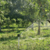 ASPERSOR RAIN BIRD LF2400 DEFLETOR PRETO 30 UNIDADES - comprar online