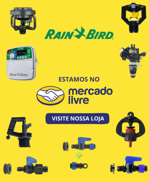 Carrossel 1