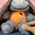 Mimosito™ -Fresa en internet
