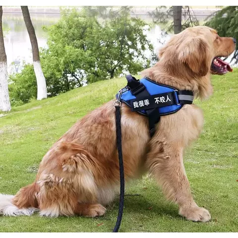 Coleira Peitoral Cachorro Police K9 Policial para Treinamento e Passeio Cão Adestramento - comprar online