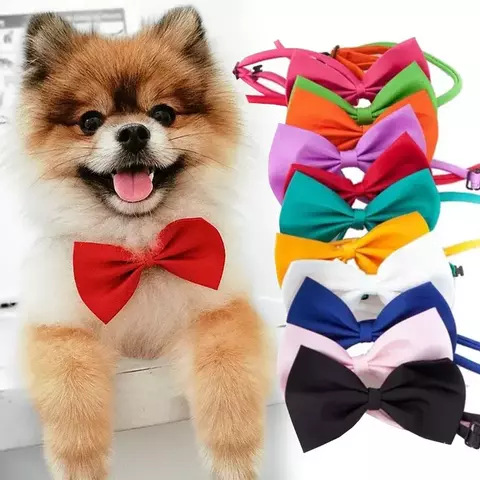 Gravata Borboleta com Colar Ajustável para Cães e Gatos – Acessório Estiloso para Filhotes e Pets | Laço para Coleira. - comprar online