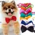 Gravata Borboleta com Colar Ajustável para Cães e Gatos – Acessório Estiloso para Filhotes e Pets | Laço para Coleira. - comprar online
