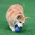 Imagem do Brinquedo Bola de Borracha Sólida para Cães – Resistente à Mordida | Ideal para Mastigar, Arremessar e Treinamento ao Ar Livre
