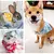 Bandanas Triangulares Ajustáveis para Pets – Lenço com Gravata para Cães e Gatos | Acessório Estiloso para Filhotes e Pet Grooming - comprar online