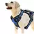 Peitoral Antipuxão para Cães – Colete Reflexivo e Respirável com Alça para Treinamento e Passeios - comprar online