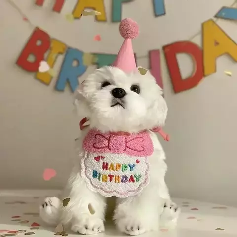 Kit de Aniversário para Pets – Chapéu e Bandana para Cães e Gatos | Acessórios Divertidos para Filhotes e Festas Pet
