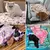 Manta fofa macia para animais, estampa fofa dos desenhos animados, tapete quente e confortável para cães e gatos, alta qualidade. - Amicão & Mia