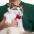 Gravata Borboleta Ajustável para Pets – Acessório Elegante para Cães Pequenos e Filhotes | Ideal para Tosa e Fantasias - Amicão & Mia
