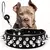 Conjunto de Coleira e Guia com Spikes para Cães – Couro Resistente com Rebites, Ajustável | Ideal para Passeios ao Ar Livre - Amicão & Mia