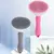 Escova Removedora de Pelos para Cães e Gatos – Autolimpante - Amicão & Mia