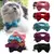 Coleira de Veludo para Gatos e Filhotes – Com Laço Bowknot, Sino e Fivela de Segurança Ajustável