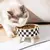 Comedouro Antiderrapante para Cães e Gatos – Plástica, Grande Capacidade, Design com Pescoço Alto. - comprar online