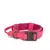 Conjunto de Coleira Tática para Cães Grandes – Nylon Reforçado, Reflexiva e Ideal para Treinamento.