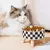 Comedouro Antiderrapante para Cães e Gatos – Plástica, Grande Capacidade, Design com Pescoço Alto. na internet