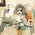 Brinquedo de Pelúcia com Som para Cães – Leão, Lobo e Elefante | Resistente à Mordidas | Kit com 1 ou 3 Unidades. na internet