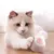 Imagem do Bola Interativa com Movimento Automático para Gatos e Cães – Brinquedo Inteligente que Quica e Rola Sozinho | Ideal para Ambientes Internos.