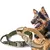 Conjunto de Coleira Tática para Cães Grandes – Nylon Reforçado, Reflexiva e Ideal para Treinamento. na internet