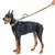 Coleira Tática Militar Ajustável com Guia de Nylon – Ideal para Cães Médios e Grandes. - Amicão & Mia