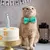 Kit com 10 Gravatas Borboleta para Cães e Gatos – Bowties Coloridos para Pets Pequenos | Acessórios para Tosa e Estilo. - loja online