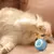 Bola Interativa com Movimento Automático para Gatos e Cães – Brinquedo Inteligente que Quica e Rola Sozinho | Ideal para Ambientes Internos.