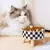 Comedouro Antiderrapante para Cães e Gatos – Plástica, Grande Capacidade, Design com Pescoço Alto. na internet