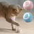 Bola Interativa com Movimento Automático para Gatos e Cães – Brinquedo Inteligente que Quica e Rola Sozinho | Ideal para Ambientes Internos. na internet
