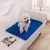 Almofada Absorvente Reutilizável para Cães – Lavável, Antiderrapante, Ideal para Treinamento, Filhotes, Cama Pet e Assento de Carro na internet
