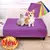 Almofada Absorvente Reutilizável para Cães – Lavável, Antiderrapante, Ideal para Treinamento, Filhotes, Cama Pet e Assento de Carro - Amicão & Mia